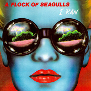 lock of Seagulls